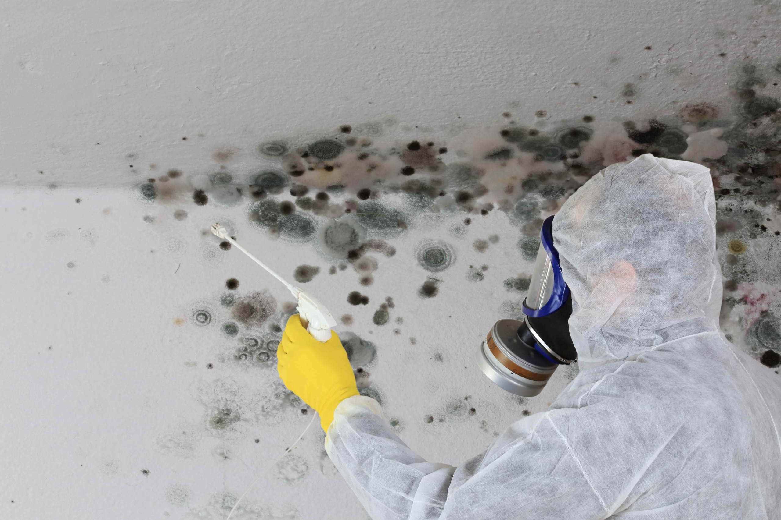 Kellersanierung (4) Schäden an einer feuchten Kellerwand vor der Kellersanierung