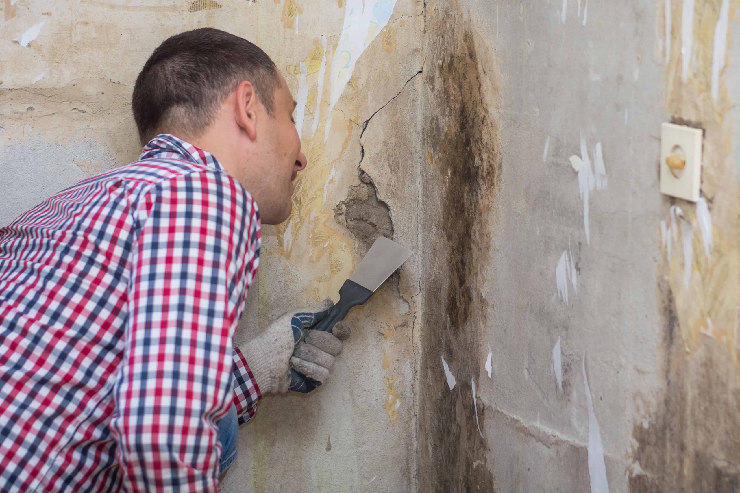 Schimmelsanierung (3) Fachgerechte Schimmelsanierung und Ursachenbeseitigung